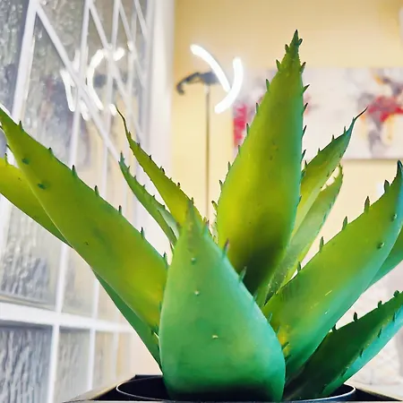 Apartmán Costamare Boutiqueapart-where Luxury Meets Comfort