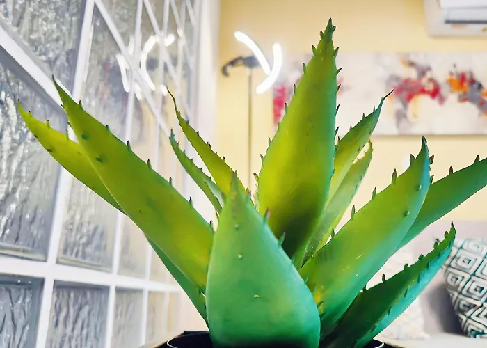 شقة Costamare Boutiqueapart-where Luxury Meets Comfort